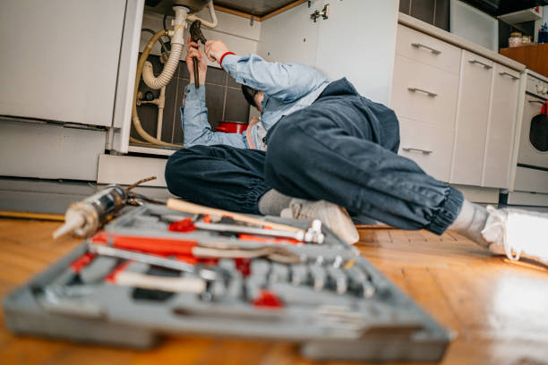 Best Local Plumber Services  in Vinton, IA